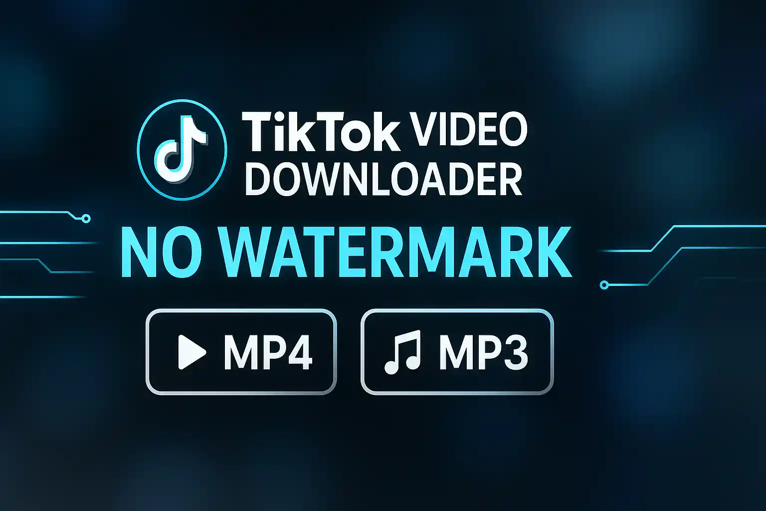 TikTok Video Downloader Tool